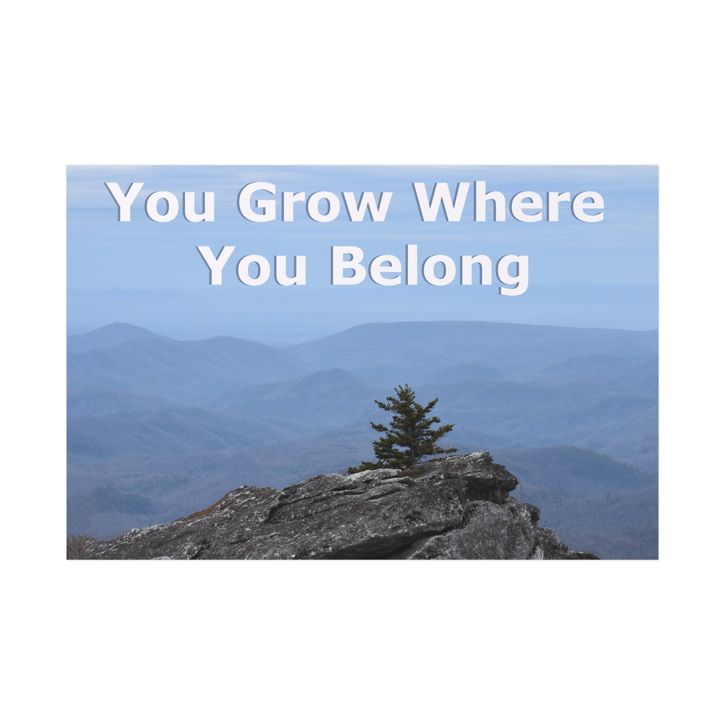 Inspirational Nature Poster: 'You Grow Where You Belong'