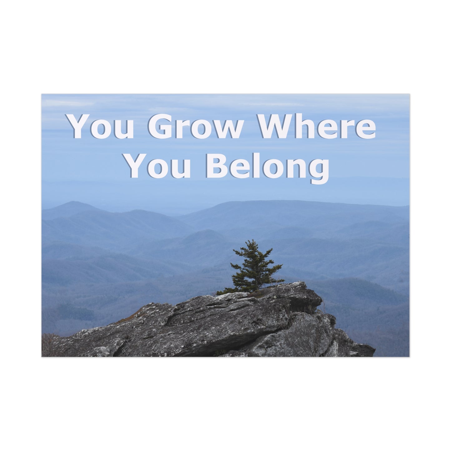 Inspirational Nature Poster: 'You Grow Where You Belong'