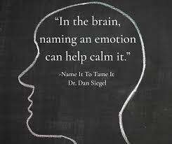 All About Dr. Dan Siegel’s “Name It to Tame It” Theory: The Science of Emotional Regulation