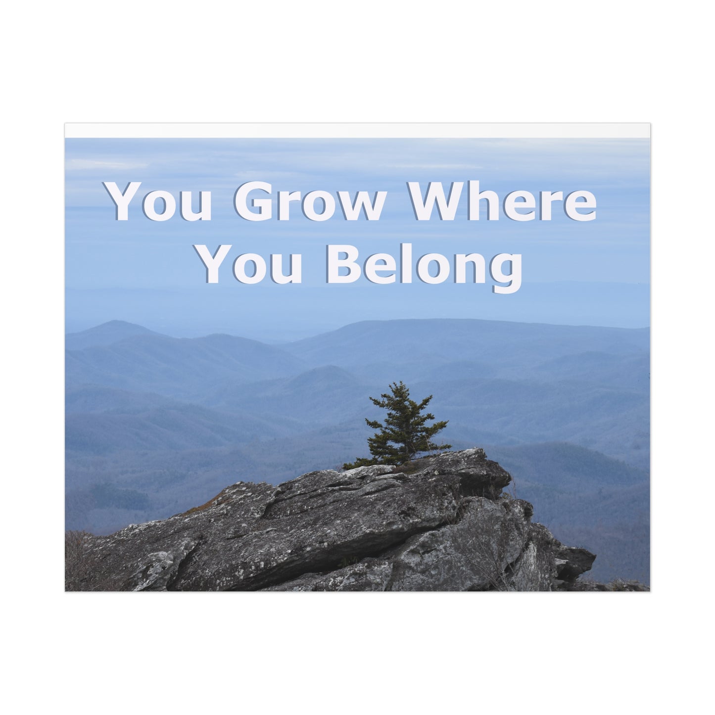 Inspirational Nature Poster: 'You Grow Where You Belong'