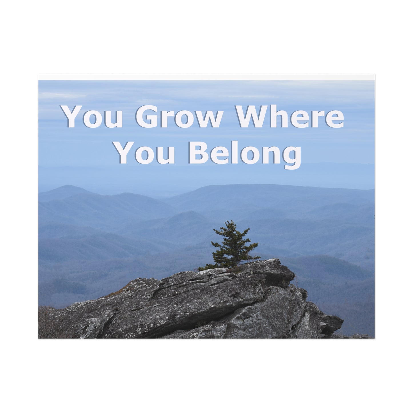 Inspirational Nature Poster: 'You Grow Where You Belong'