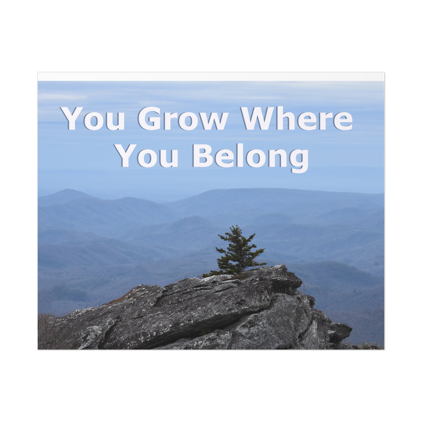 Inspirational Nature Poster: 'You Grow Where You Belong'