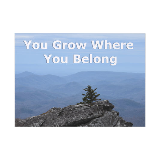 Inspirational Nature Poster: 'You Grow Where You Belong'