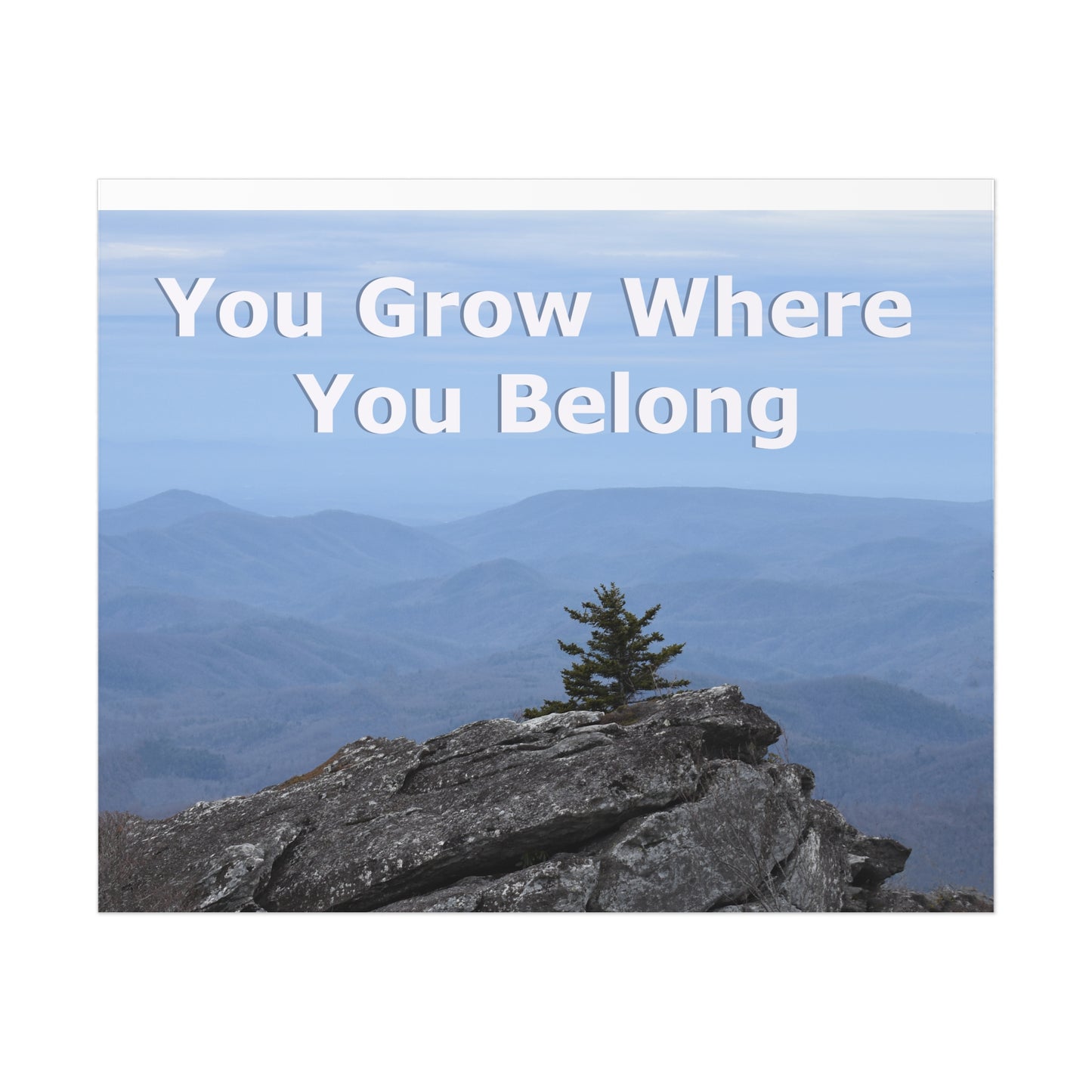 Inspirational Nature Poster: 'You Grow Where You Belong'