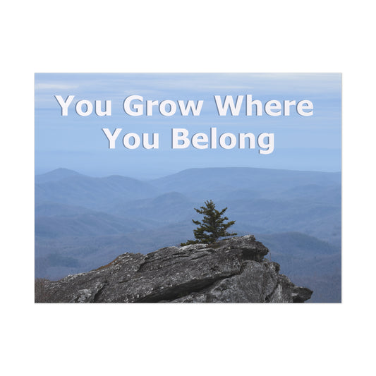 Inspirational Nature Poster: 'You Grow Where You Belong'