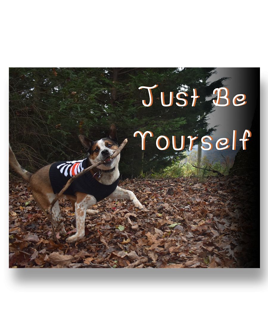 a02ad7cd91b1af0e82612fe9fe1ae7b53ee7e38132339acc5d39d693f7cc586a