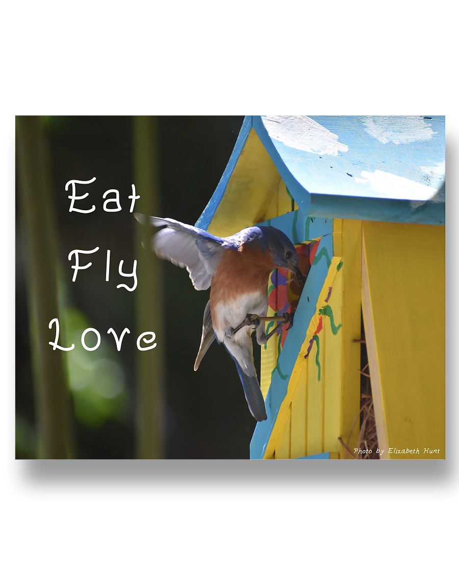 233a756da755be4d4e17650e52a5a3bd04e41b7340ee8f115bb123cb2a3cb0bb