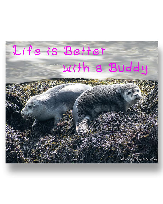 b7f7213fb4f74a6859214e53a4ce131770bbed827e31fc939042effe8170ff3f