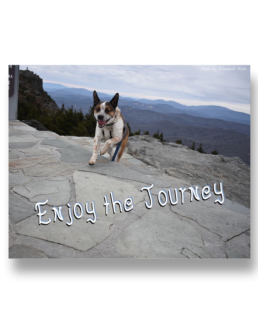 4a2a6a765085b4bb7f8efd892c2c4cf28b5907f316c824ac8f46111047db60d7